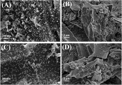 The synthesis of copper-modified biochar from Elsholtzia Harchowensis and its electrochemical activity towards the reduction of carbon dioxide